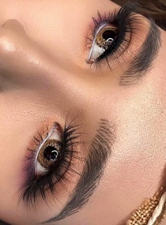 Mi chồn Celin cao cấp. 