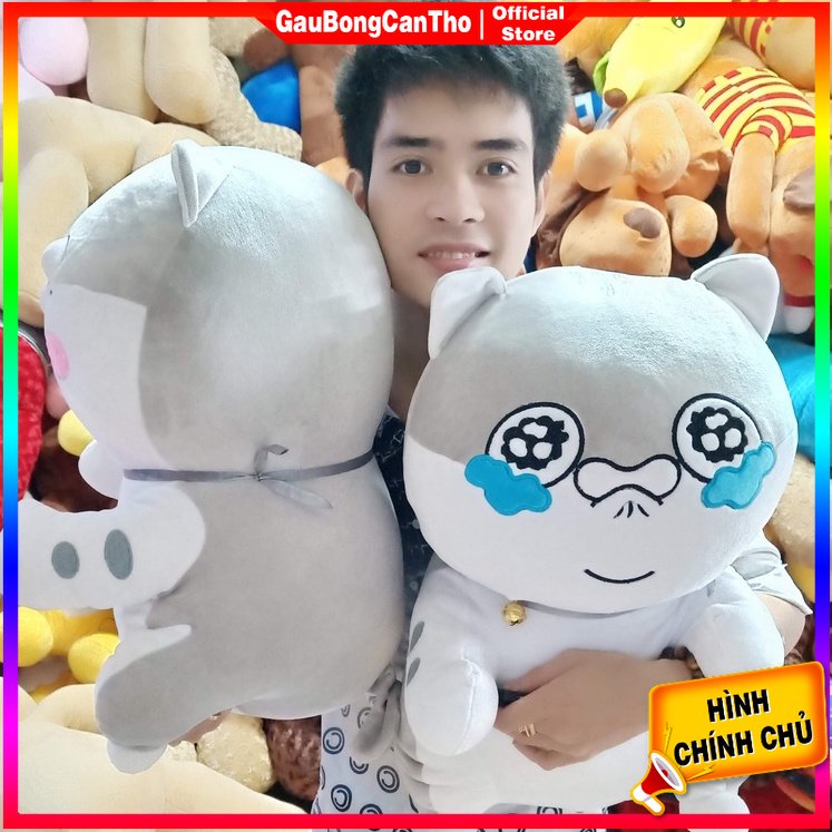 Gấu Bông Mèo Ami icon dễ thương (hình tự chụp 100%)