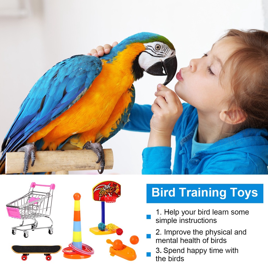Set 4 Đồ Chơi Ván Trượt Mini Vui Nhộn Cho Vẹt