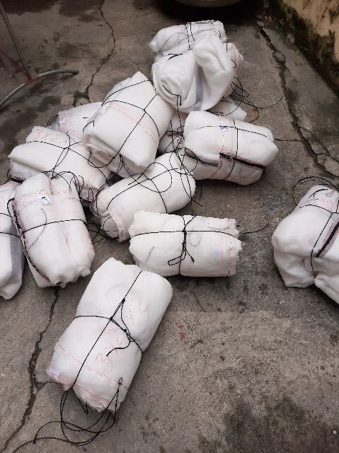 Mùng nuôi ruồi lính đen - mã 232