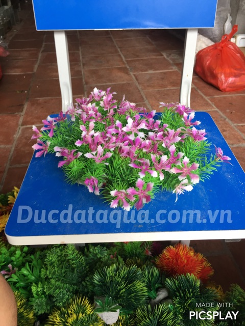 Cây hoa cỏ nhựa cao cấp
