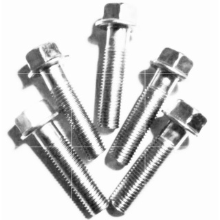 Ốc nối phuộc, sọ khỉ 10ly. 5 con
