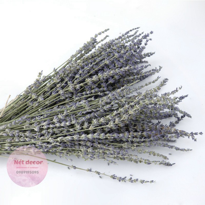 Bó hoa Lavender  khô tự nhiên