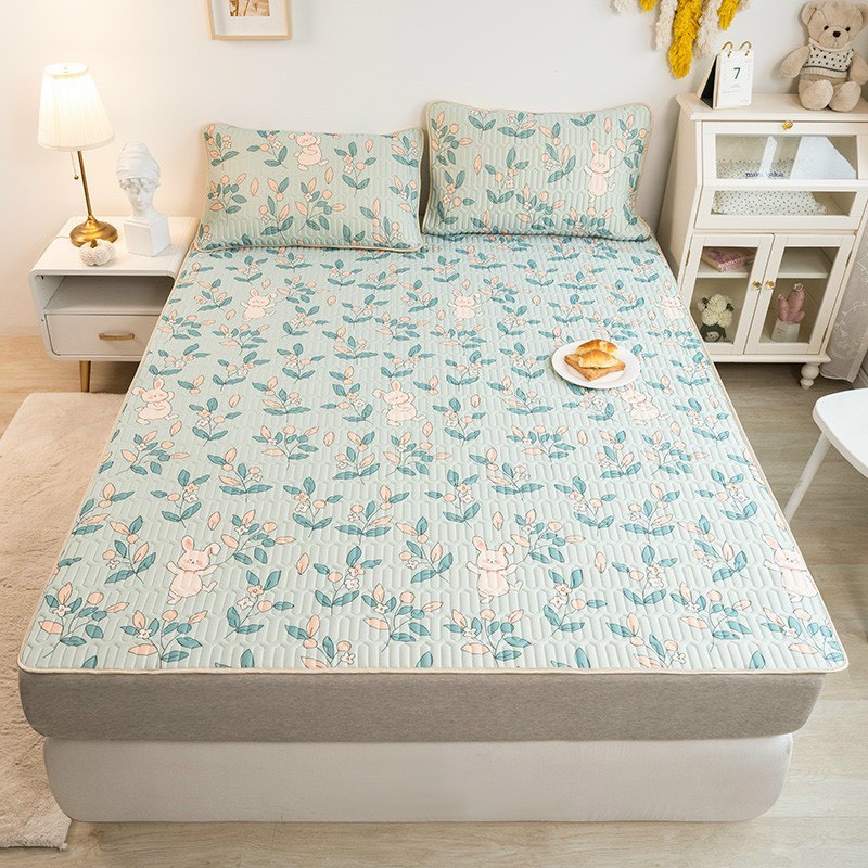 Chiếu điều hòa cao su non tencel 2D nhập khẩu, Chất liệu tencel và mủ cao su thoáng mát tặng kèm 2 vỏ gối đủ size nệm