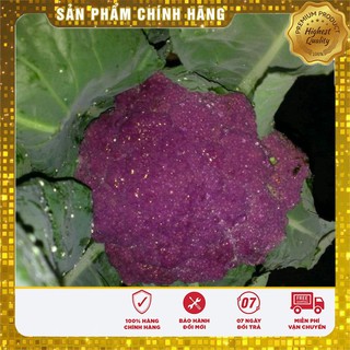 Hạt Giống Súp Lơ Mix 10 Hạt