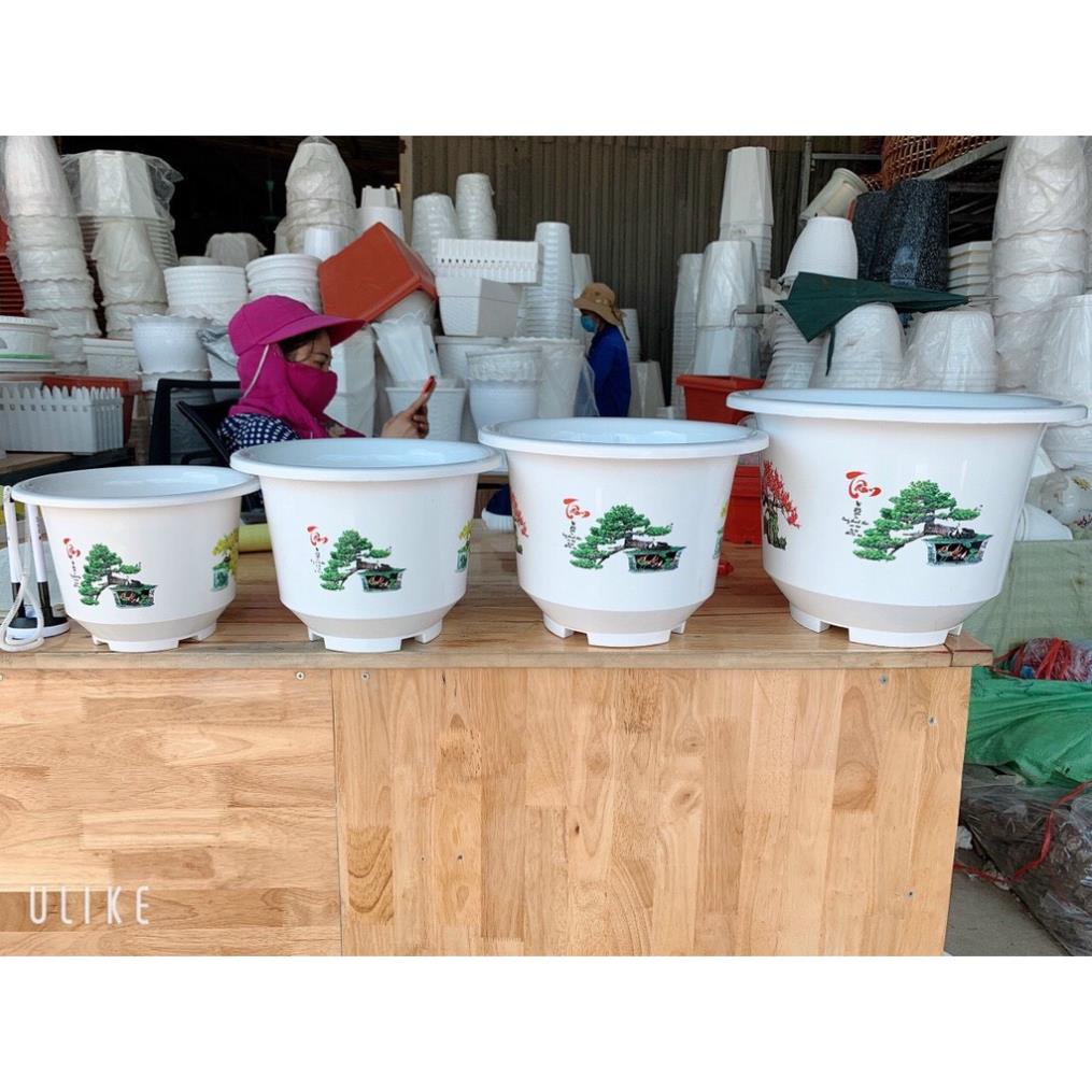 Chậu nhựa bốn Mùa trồng cây siêu đẹp, siêu rẻ