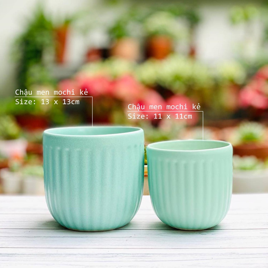 Chậu sứ trồng cây cảnh để bàn 11-13cm dáng bo đáy kẻ sọc