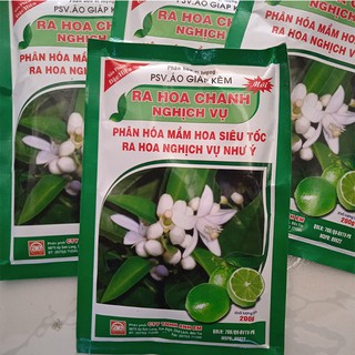 Phân bón kích ra hoa chanh, cam, bưởi, tắc, cây có múi