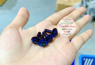 Bộ 4 ốc bắt mão chắn gió