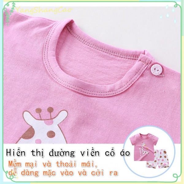 Set 2 Món Áo Thun Tay Dài & Quần Short Cho Bé Trai & Gái Từ 0-8 Tuổi