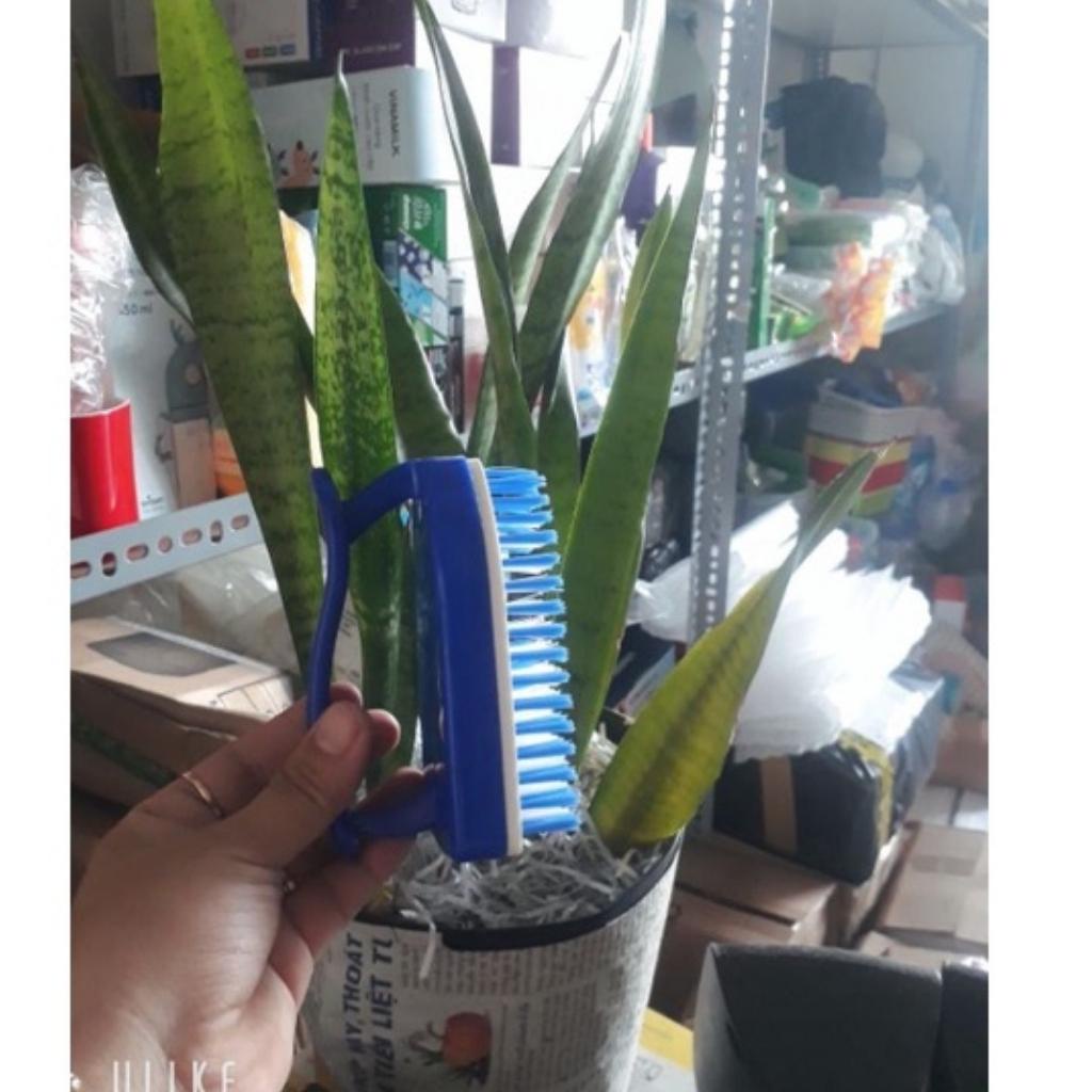 Bàn chải nhựa có tay cầm đa năng tiện dụng lông mềm