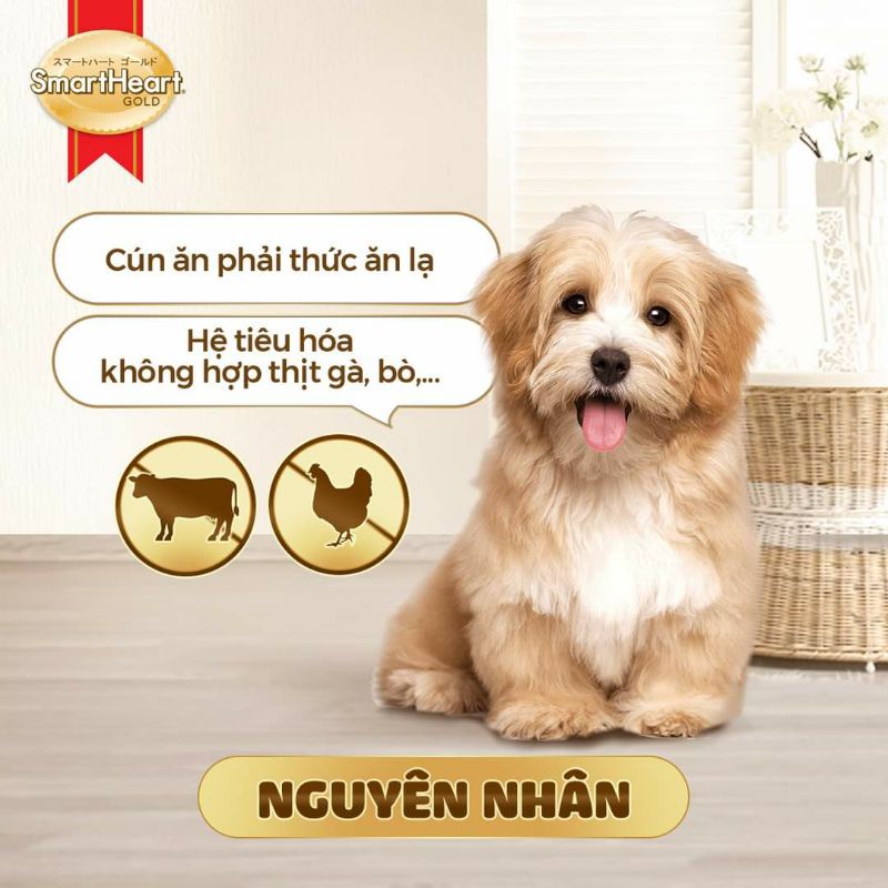 Thức ăn dành cho chó con và chó mẹ mang thai Smartheart Gold puppy 1kg