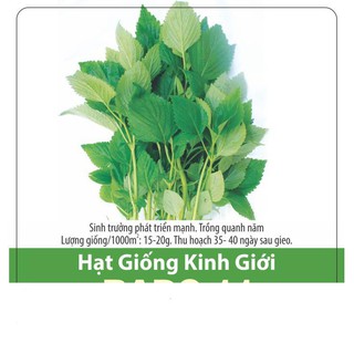 Hạt giống rau kinh giới cao sản 1gr