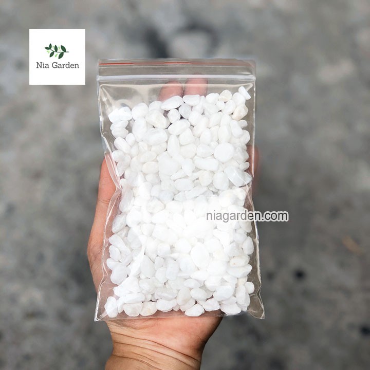 Sỏi trắng size 0,8-1cm trang trí chậu cây cảnh, terrarium, hồ cá, xương rồng