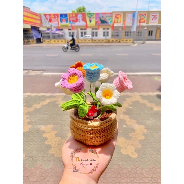 Chậu hoa len móc handmade