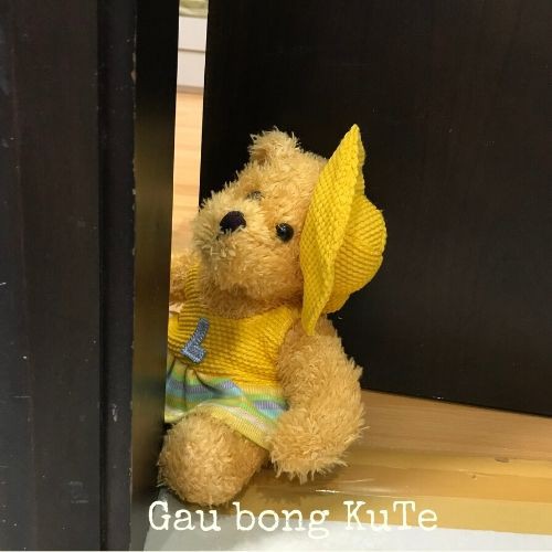 Gấu bông _ Teddy quý cô