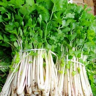 Gói 5gr rau cần tây trắng
