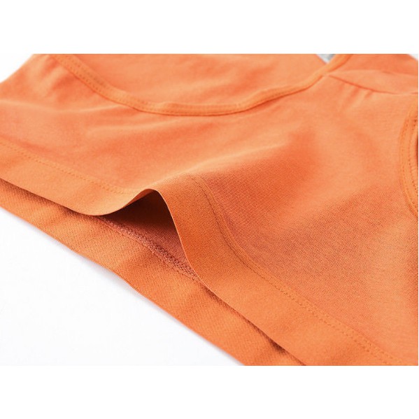 Quần chip nữ cotton nâng mông kháng khuẩn màu trơn Ql33