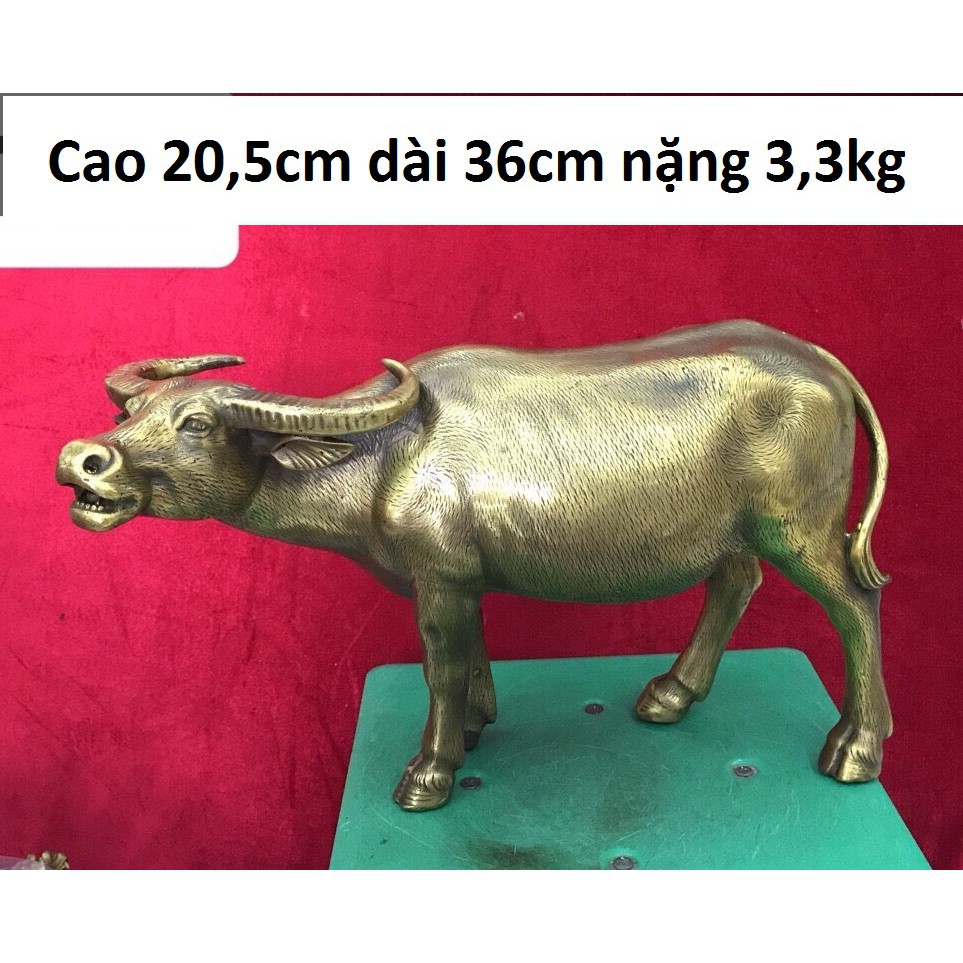 Tượng trâu đứng phong thuỷ chất liệu bằng đồng vàng MS16