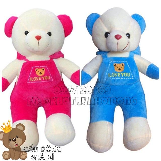 GẤU BÔNG TEDDY ĐỘI NÓN CUTE [50cm] GIÁ RẺ