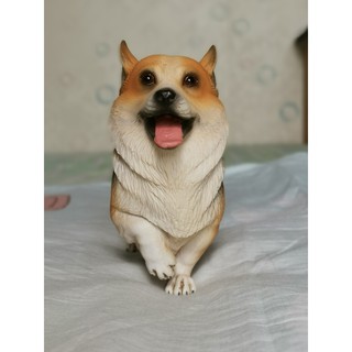 [Có Sẵn] Mô hình cún Corgi