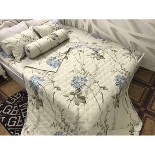 Bộ Chăn Trần Bông Ga Gối Poly 1m4 rẻ nhất sài gòn cúc trắng