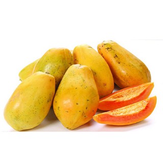 Hạt giống ĐU ĐỦ RUỘT ĐỎ