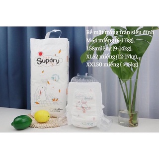 Tả/bỉm quần supdry m64/l58/xl52/xxl50