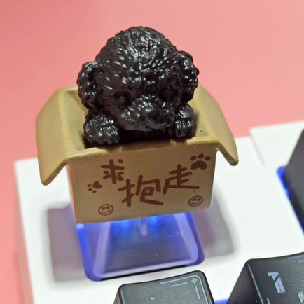 Nút Bàn Phím Cơ Bằng ABS Có Đèn Nền Hình cherry mx Dễ Thương