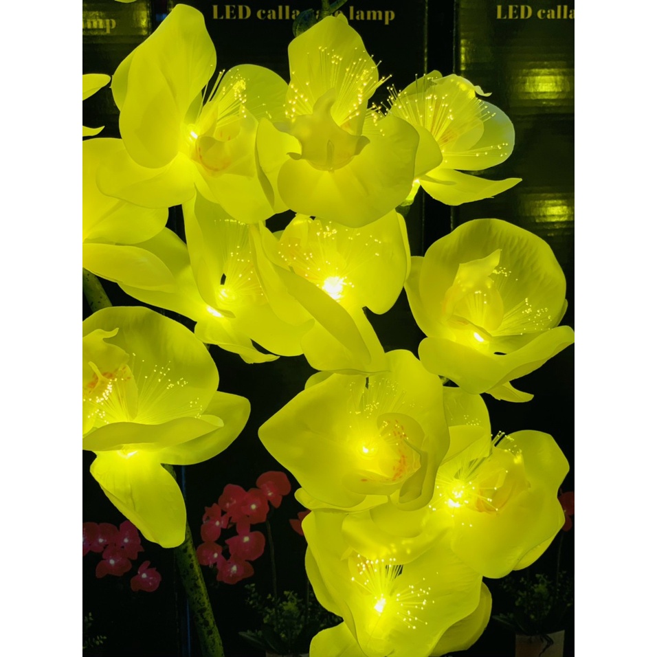 Chậu Hoa Lan Hồ Điệp  có đèn Led trang trí nhà, quà tặng CAO 80CM