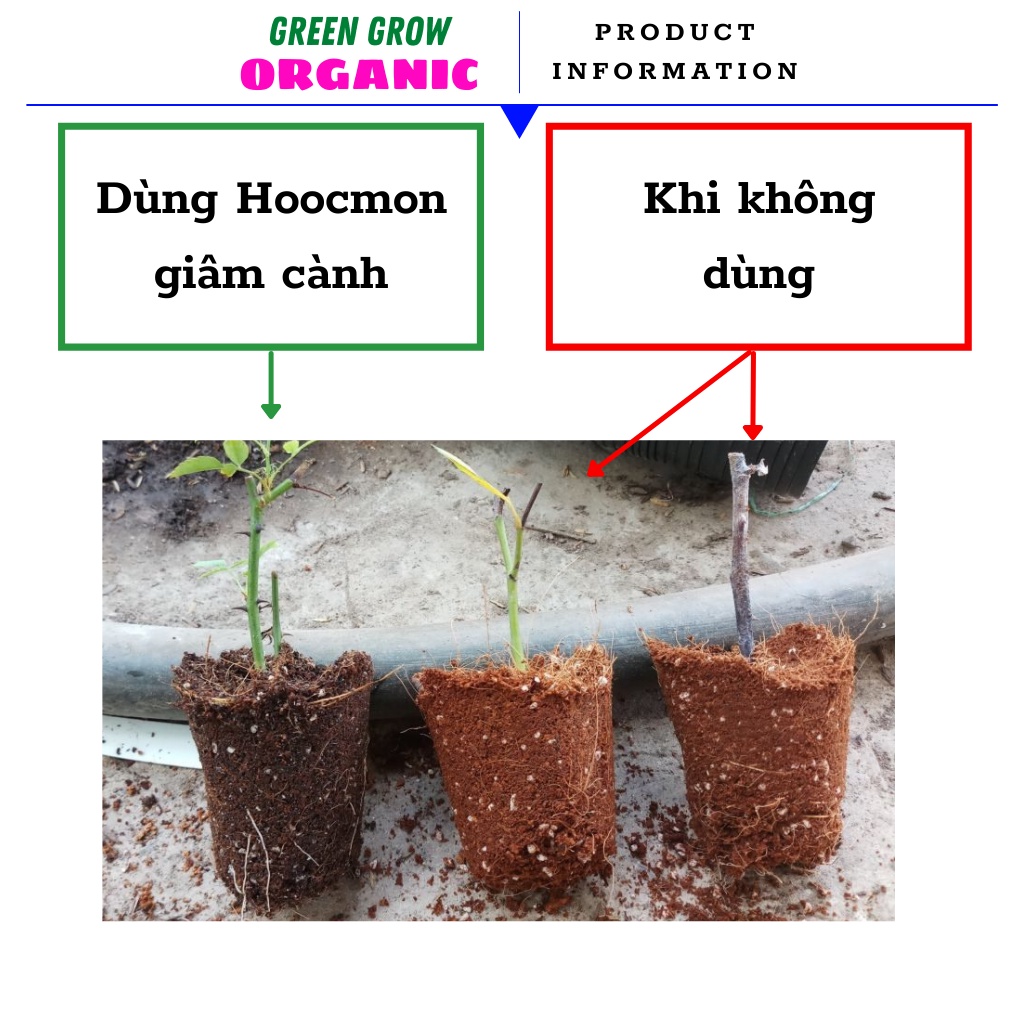 Kích rễ cực mạnh Green Grow Organic dùng giâm cành Hoa Hồng, Hoa Mai, Hoa Giấy, Hoa Lan giúp ra rễ sau 7 ngày MS112