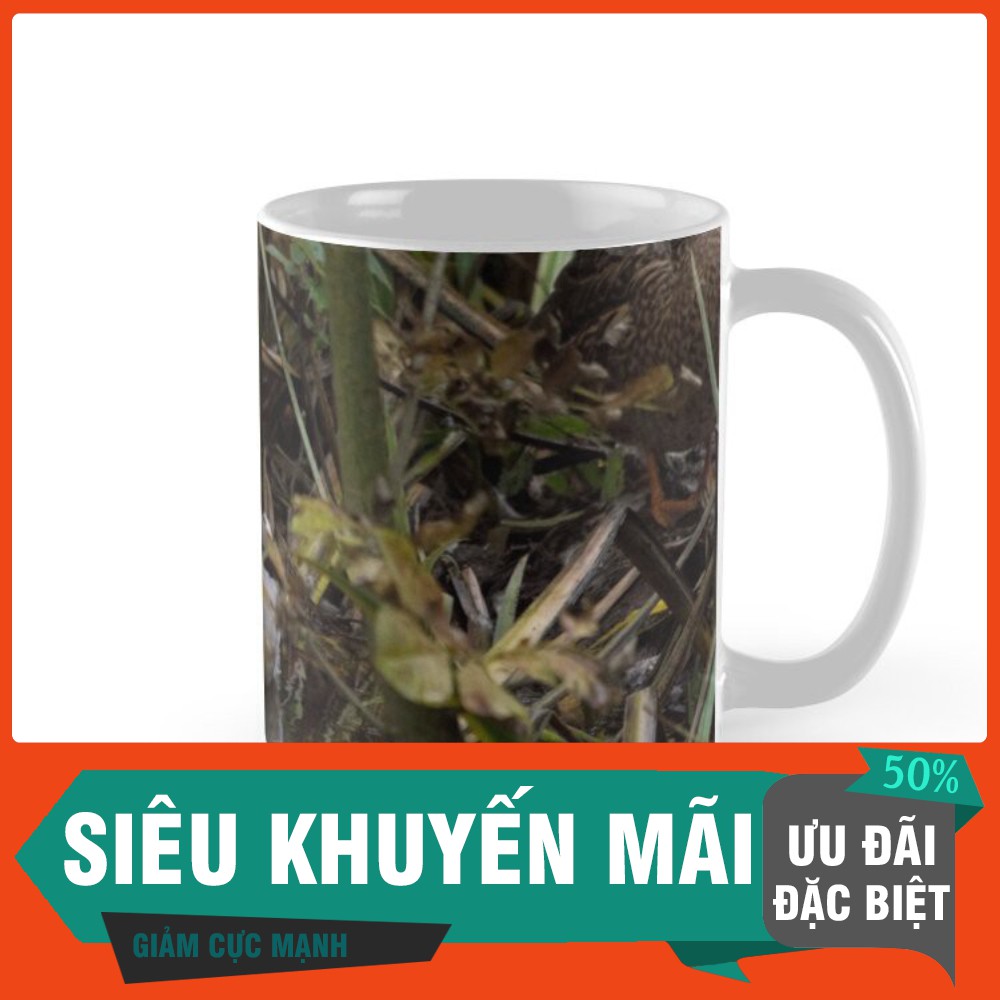 HÀNG ĐẸP Cốc tai Trong hình ảnh - Một con vịt hoang dã xuất hiện -HT81-2020-413