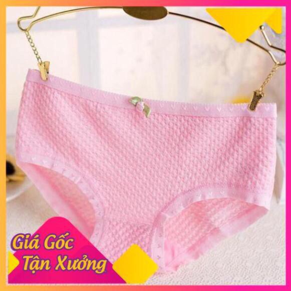 Quần Lót Cotton Sợi Bông Co Giãn Kháng Khuẩn 1980. | BigBuy360 - bigbuy360.vn