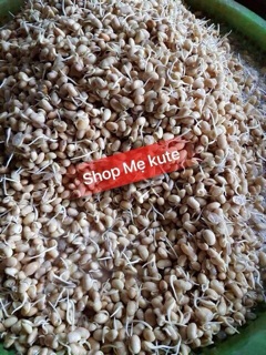 Mầm đậu nành 500g