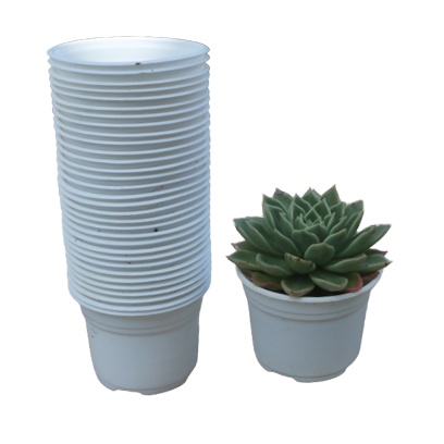 Chậu trồng sen đá (105x80mm) giá sỉ 1 bao 700 cái