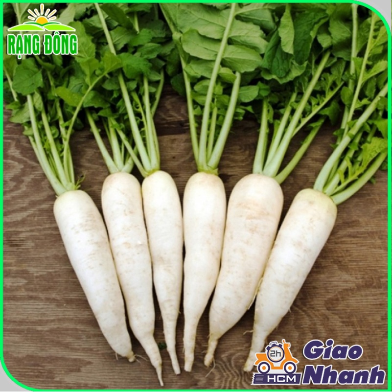 Hạt giống Củ Cải Trắng Dễ Trồng Củ To Dài, Sinh Trưởng Khỏe (gói 50 gram) - Hạt giống Rạng Đông