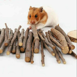 Cành táo mài răng cho Hamster, thỏ , bọ