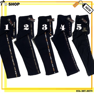 Quần legging nữ - quần thun ôm body 5 loại New cập nhập viền mới