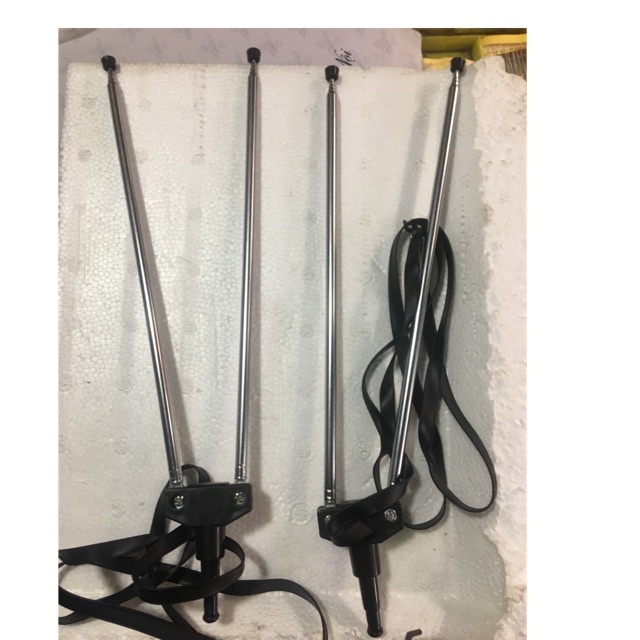 2 cái ăng ten râu