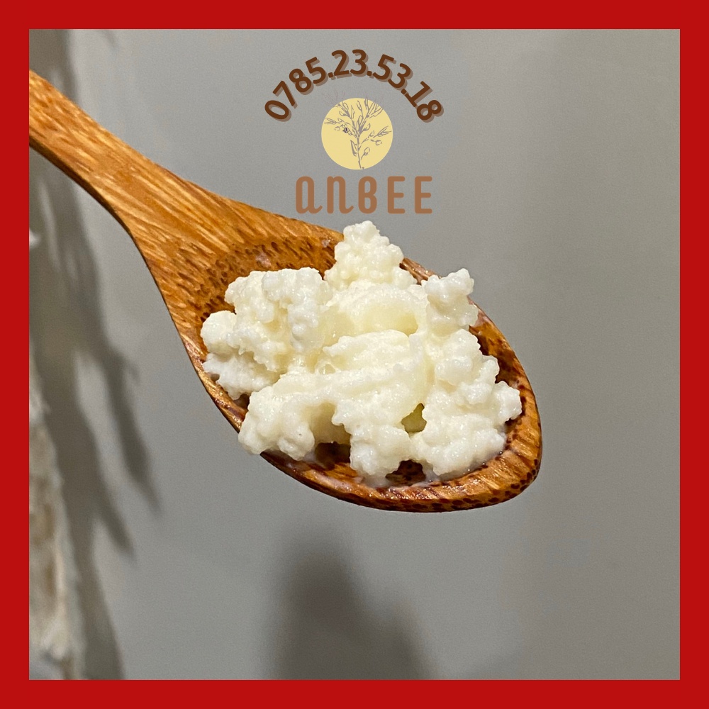 Nấm Kefir siêu khỏe làm sữa chua uống - sữa chua Hi lạp - sữa chua túi