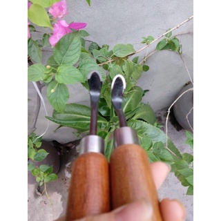 dụng cụ móc lũa tạo nghệ thuật cho cây