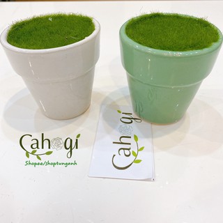 chậu cốc mini nhồi xốp phủ cỏ giả
