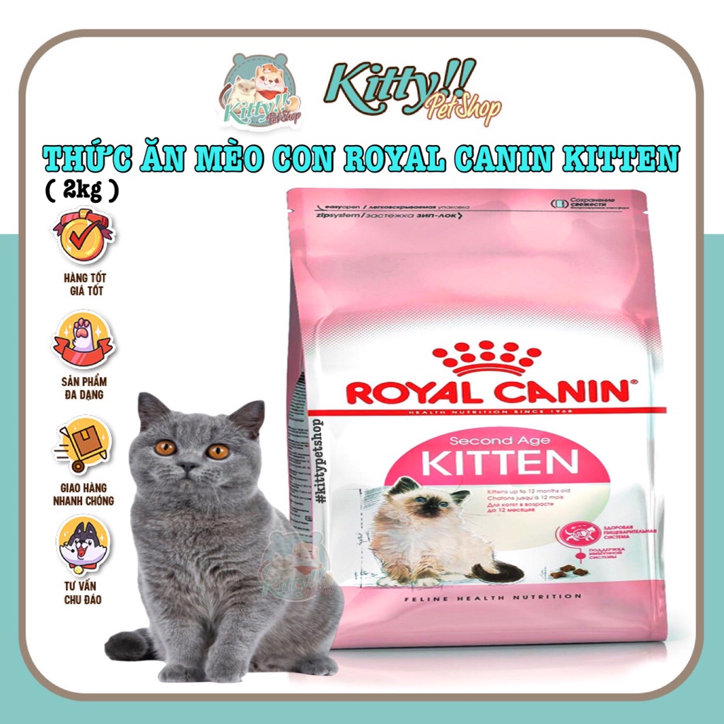 Túi hãng 2kg thức ăn hạt Royal Canin Kitten 36 dành cho mèo con từ 4 tháng tuổi, thức ăn mèo con - Kitty Pet Sho
