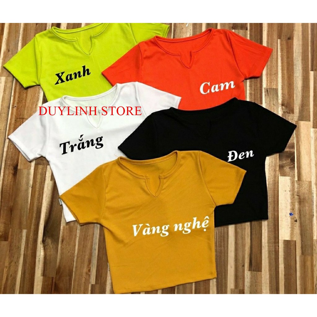 ÁO CROPTOP THUN GÂN BODY CỔ V