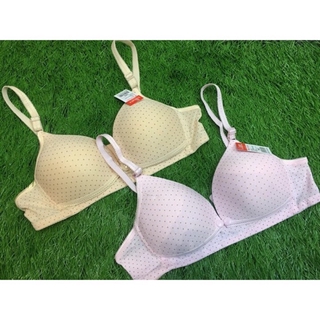 Combo 5 áo lót bầu