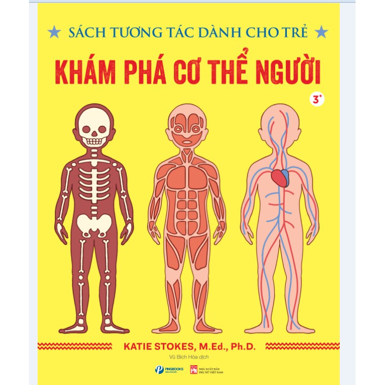 Sách - Khám Phá Cơ Thể Người - Sách tương tác dành cho trẻ 3+ - Nhiều tác giả