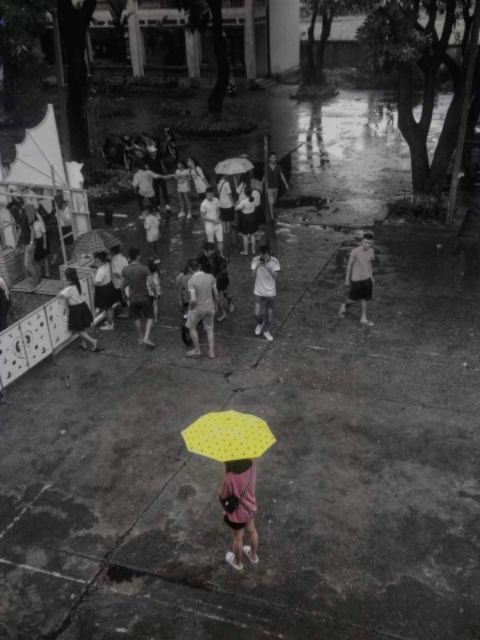 Dù gấp gọn gấu