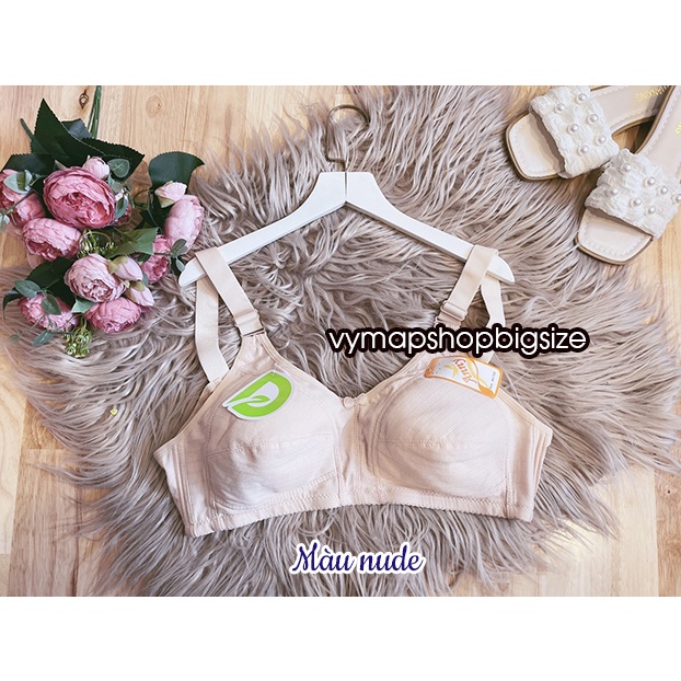 Áo bra / áo lót bigsize 44-46-48