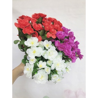 Hoa đỗ quyên giả | hoa lụa hoa giả