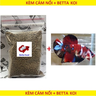 Cám betta 10g tặng betta koi